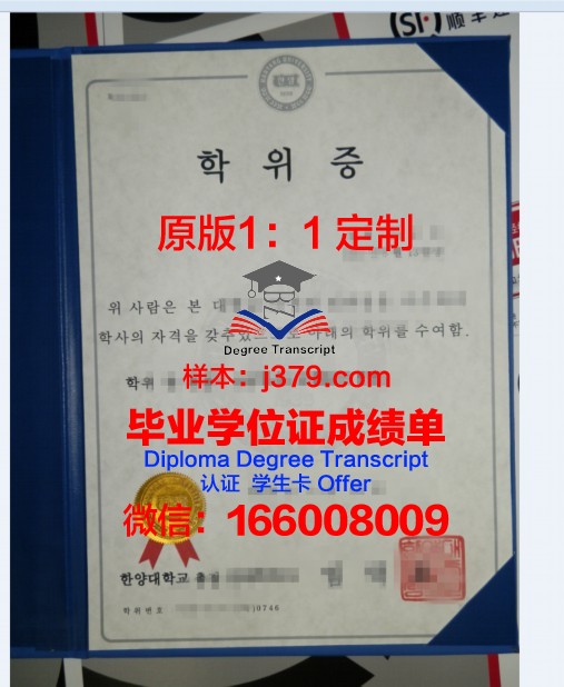 霍米巴巴国家学院学位证定制:荣誉与品质的象征