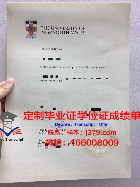 萨彻毕业证:一张纸的重量与价值