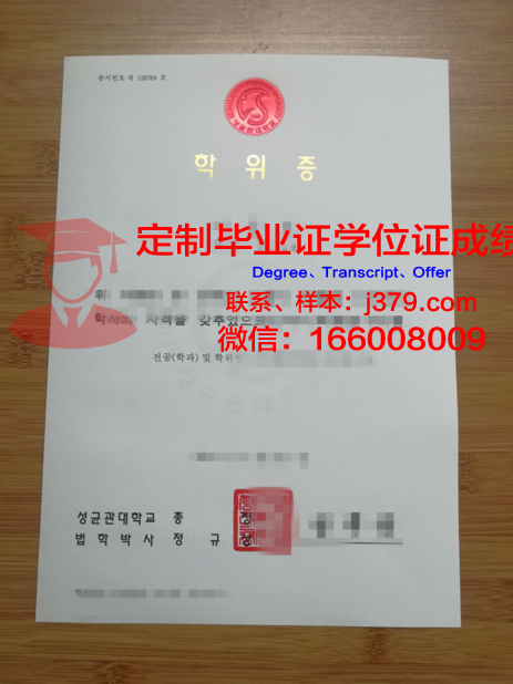 沃罗涅日高等技术学院学位证成绩单:一份见证成长与成就的证明
