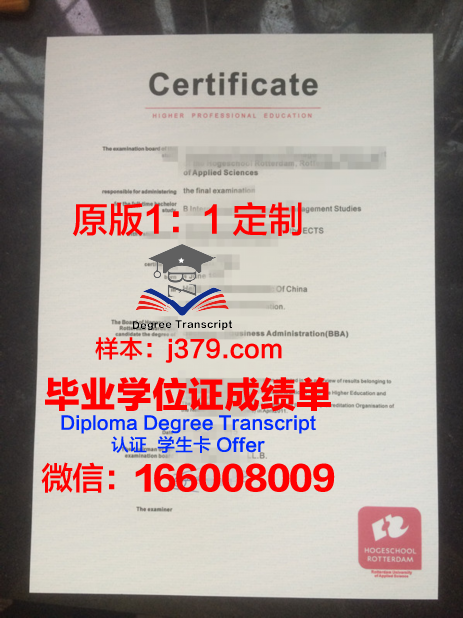 鹿特丹伊拉斯姆斯大学硕士毕业证(伊斯拉姆大学鹿特丹管理学院)