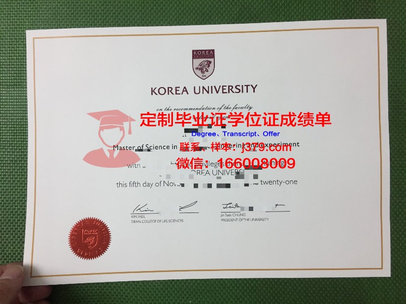 韩国映像大学毕业证书图片(韩国影像学专业回国就业怎么样)