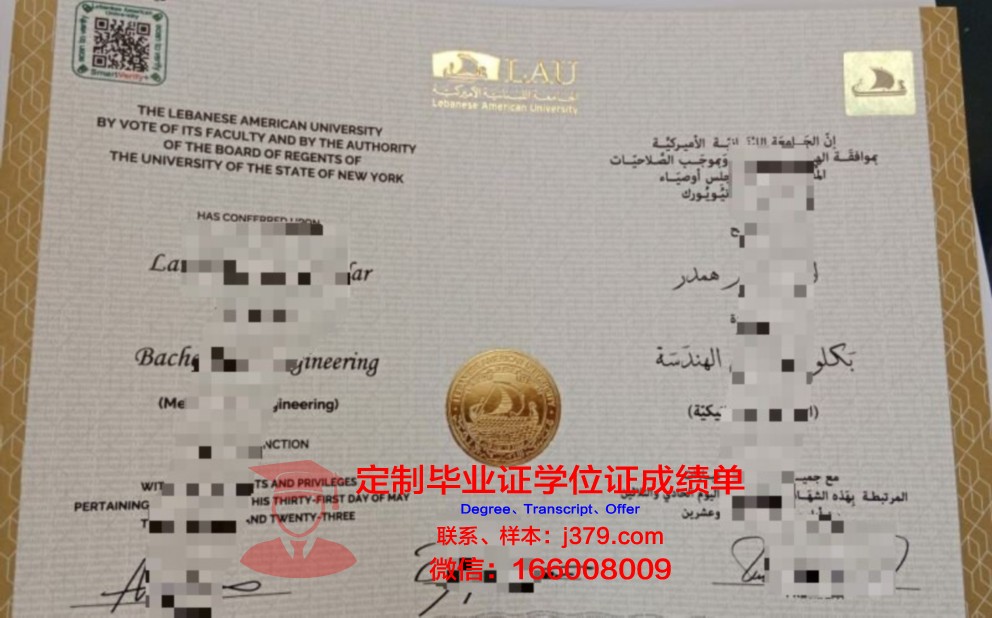 黎巴嫩大学的毕业证都能做(黎巴嫩大学的毕业证都能做什么工作)
