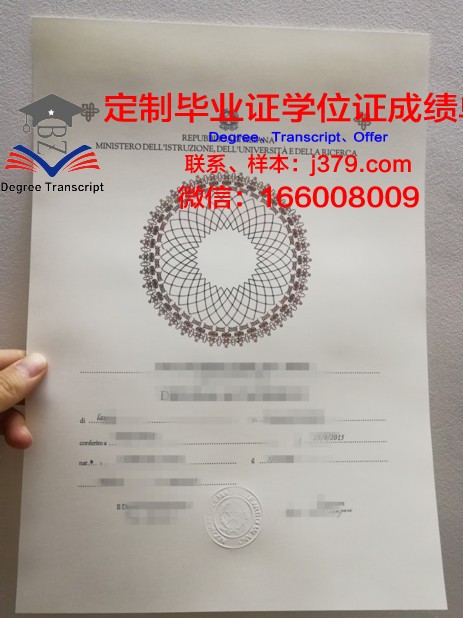 沃罗涅日高等技术学院毕业证：一张纸背后的价值与荣耀