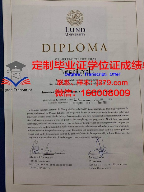 瑞典皇家理工学院毕业证书(瑞典皇家理工学院英文授课)