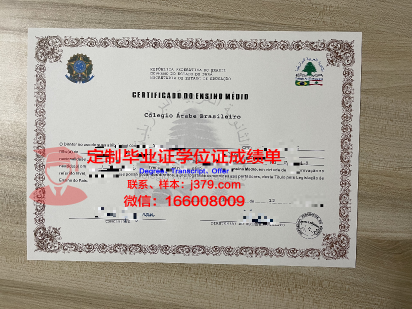瓦加斯基金会巴西公共与企业管理学院的毕业证啥样