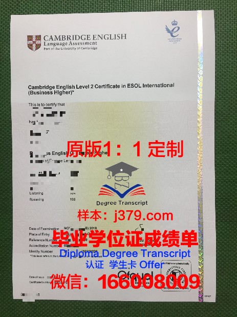 萨尔瓦多卡米诺学院研究生毕业证书