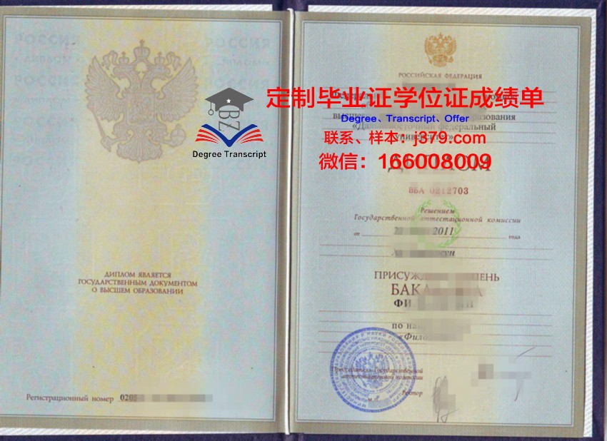 俄罗斯科学院远东分院自动化与过程控制研究所毕业证:跨越国界的学术荣耀