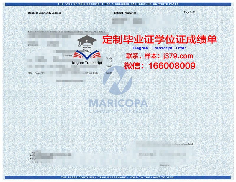 沙东工作室证书成绩单(沙东工作室证书成绩单怎么打印)