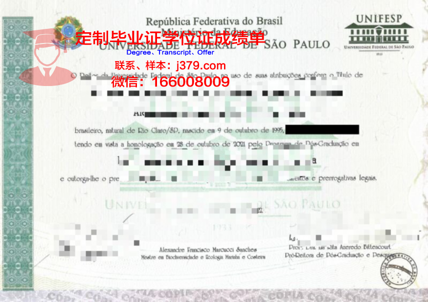 瓦加斯基金会圣保罗经济学院毕业证外壳