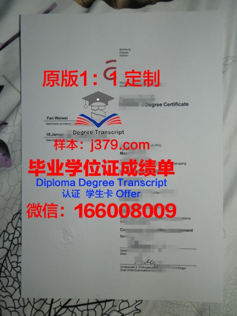 沃尔姆应用技术大学毕业证长什么样(沃尔姆斯应用技术大学)