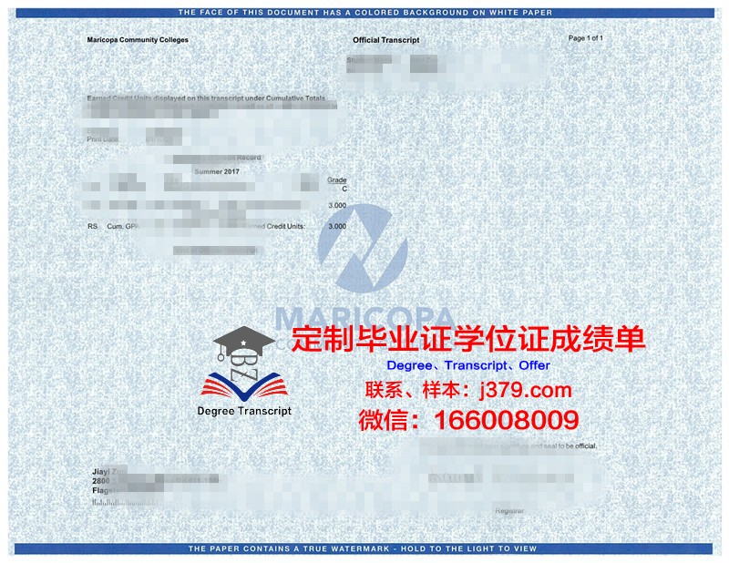 非洲大学学位成绩单定制:现状、问题与对策