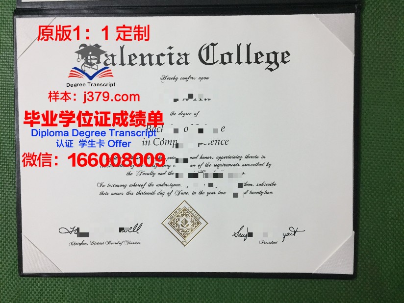 瓦伦西亚理工大学成绩单:国际认可的学术成果展现