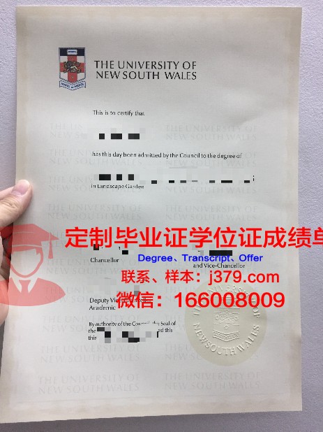 韩世大学毕业证尺寸(韩国延世大学毕业证图片)