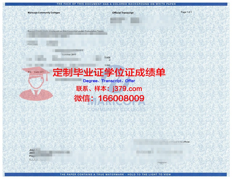 龙岗大学学位成绩单定制:探索高等教育中的诚信问题