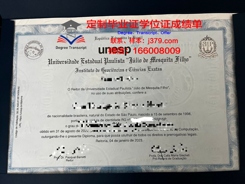 瓦加斯基金会圣保罗经济学院毕业证壳子