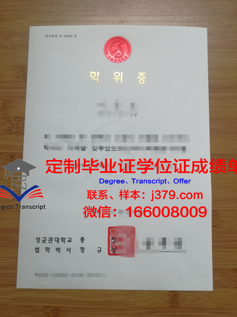 沙大学硕士学位证:承载知识与荣誉的象征