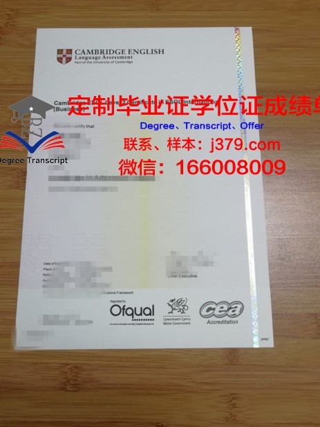 俄罗斯科学院西伯利亚分院油气地质学与地球物理学研究所研究生毕业证书