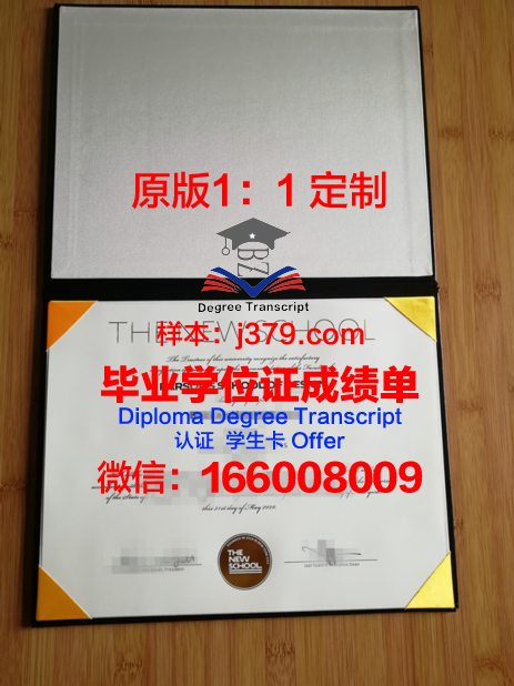 俄罗斯科学院设计与工艺信息学学院毕业证书图片模板(俄罗斯设计院校)