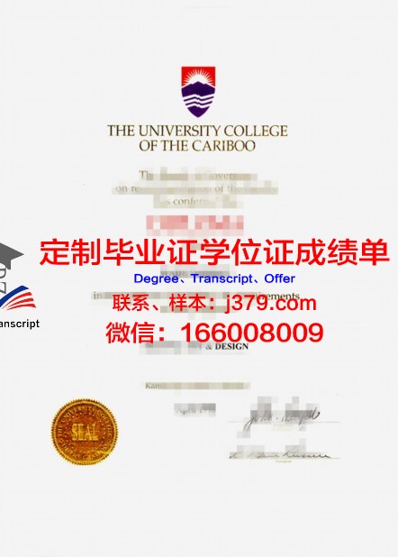 俄罗斯科学院西伯利亚分院油气地质学与地球物理学研究所硕士毕业证书样本