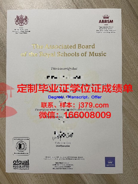 音乐与表演艺术学院毕业证照片(音乐学院毕业证书样本)