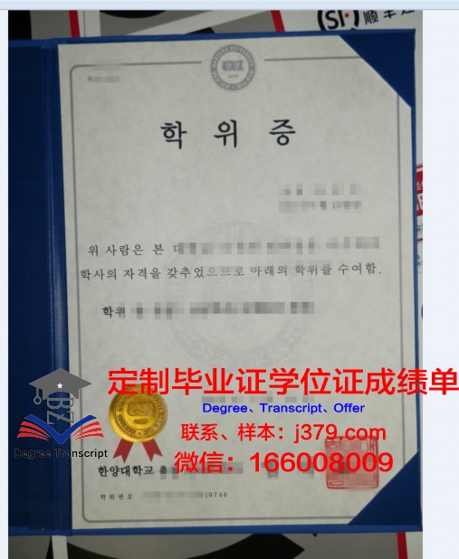 沙大学博士学位证:知识与荣誉的象征