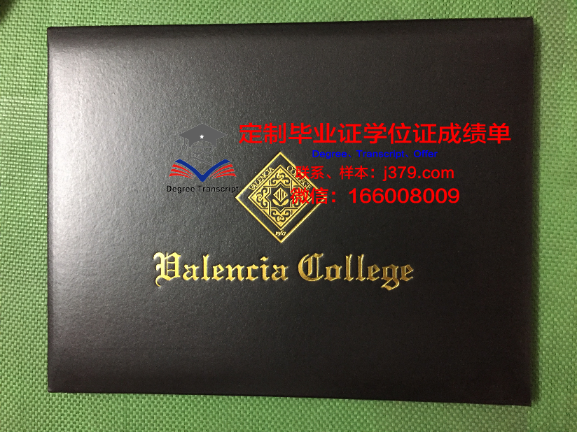 瓦伦西亚欧洲大学学生卡(瓦伦西亚理工大学学费)