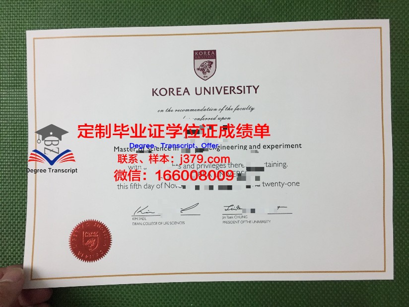韩国映像大学毕业证图片(韩国影像学专业回国就业怎么样)