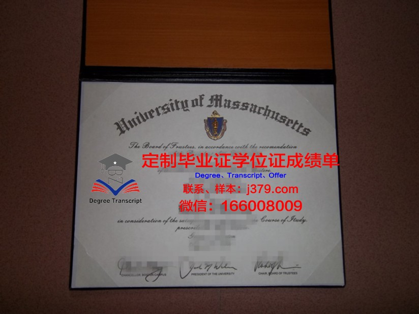 麻省理工毕业证有什么用(麻省理工毕业能找到工作吗)