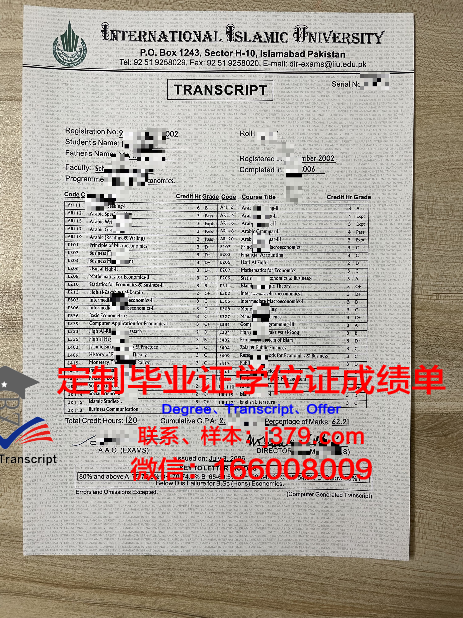 麦地那伊斯兰大学毕业证模板
