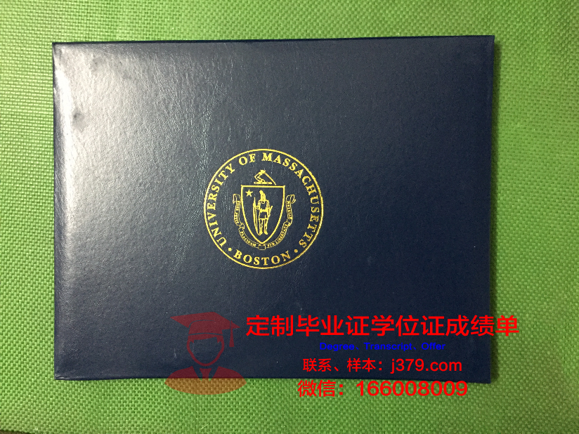 麻省综合医院健康职业学院成绩单(麻省医药与健康学院)