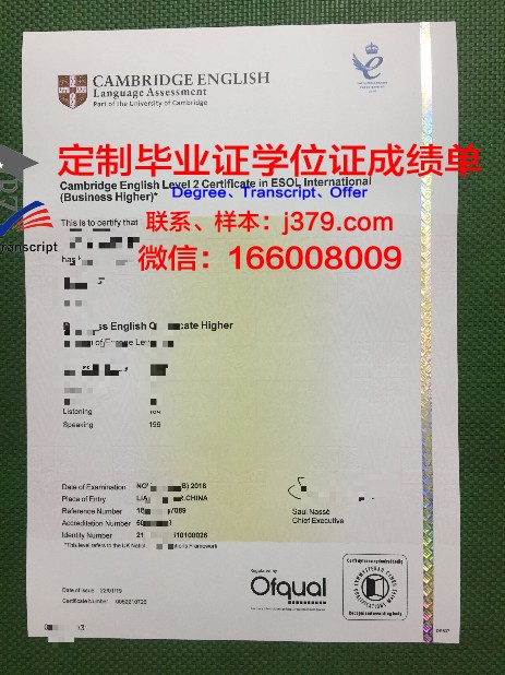 萨尔瓦多卡米诺学院毕业证书模板