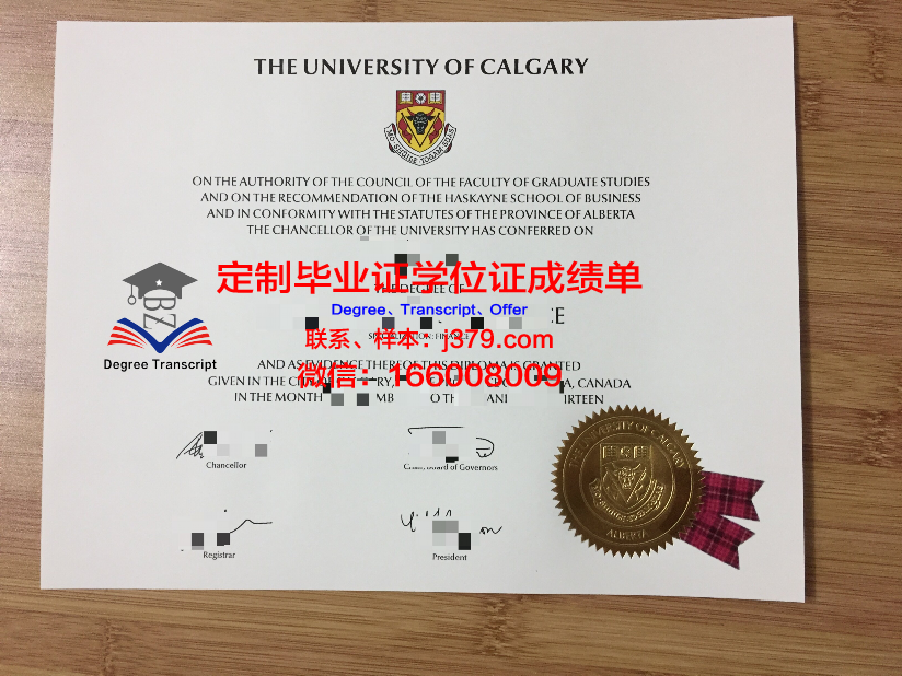 沙希德佐勒菲卡尔·阿里·布托科技学院毕业证长什么样