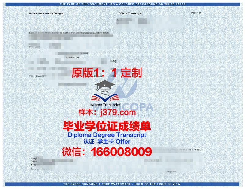 鞑靼国立人文师范大学证书成绩单