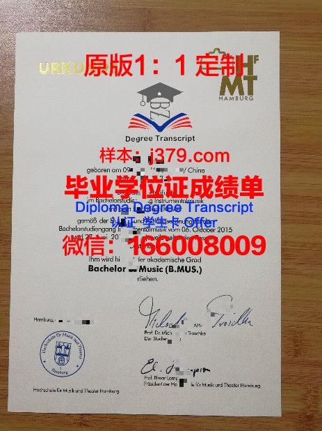 汉堡工业大学博士毕业证书(德国汉堡大学读博)