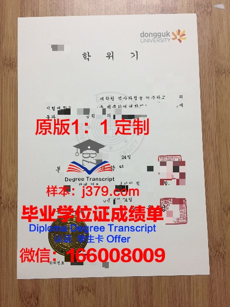 韩国大学毕业证长啥样(韩国大学的毕业证)