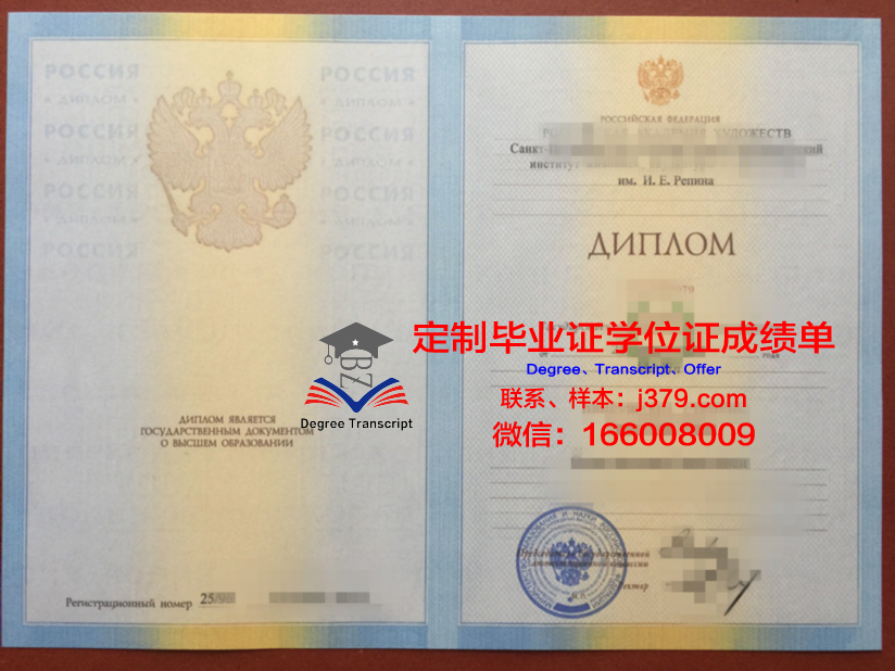 俄罗斯国立知识产权学院毕业证高清图(俄罗斯知识产权的制度设计)