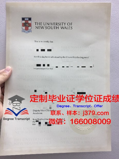韩信大学博士毕业证:揭开历史之谜的一角