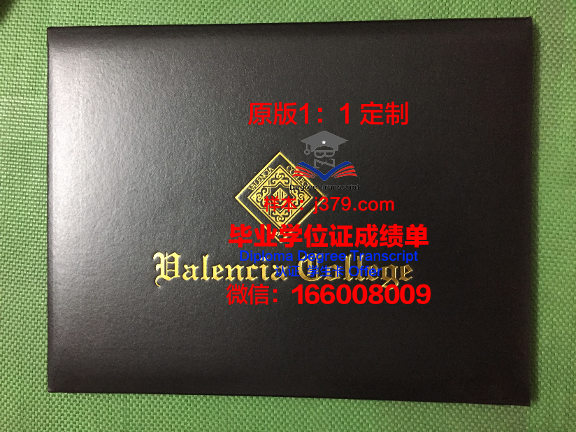 瓦伦西亚大学毕业证怎么拿的(瓦伦西亚大学毕业证怎么拿的啊)
