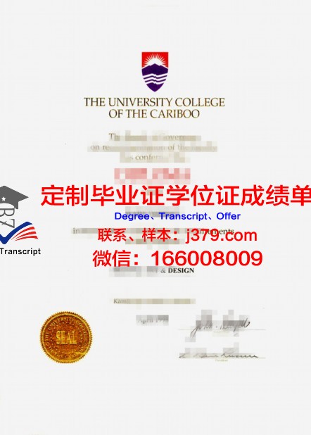 俄州大学硕士毕业证书图片样本:学术成就的见证