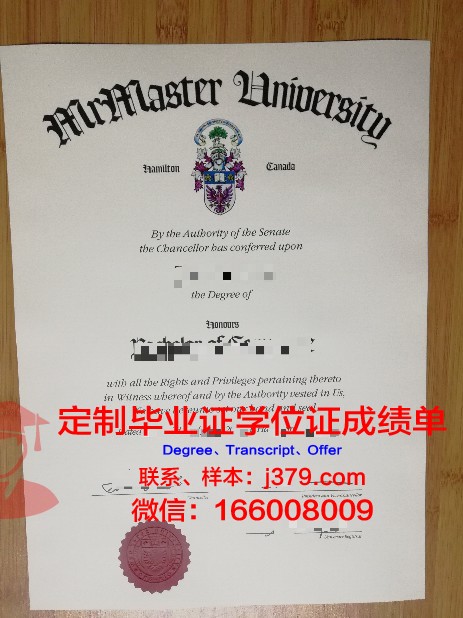 麦克成绩单：一部揭示教育问题的现实主义力作