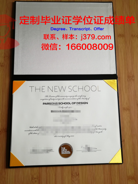 俄罗斯科学院设计与工艺信息学学院毕业证照片(俄罗斯设计博士)
