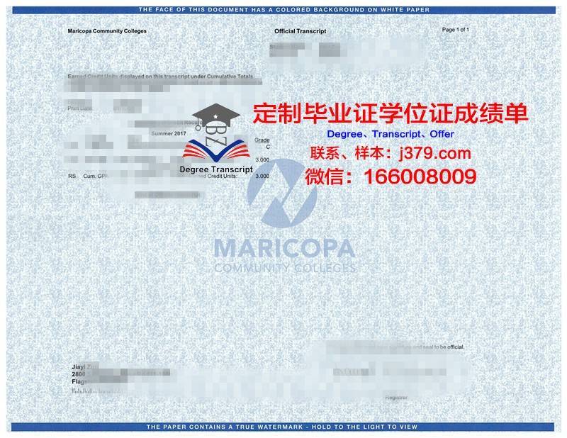 瓦萨尔学院成绩单(瓦萨学院排名)