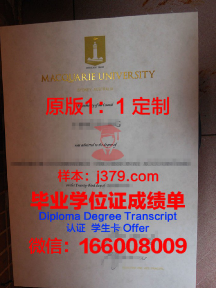 麦考瑞大学校园卡(麦考瑞大学学费和生活费)