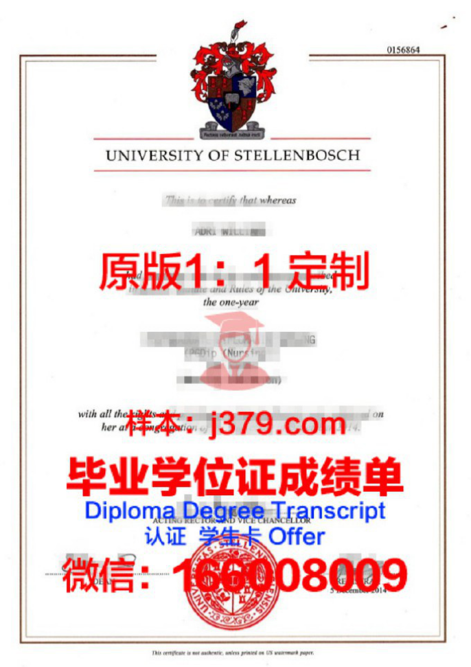 南非大学录取通知书 Offer 定制要多久